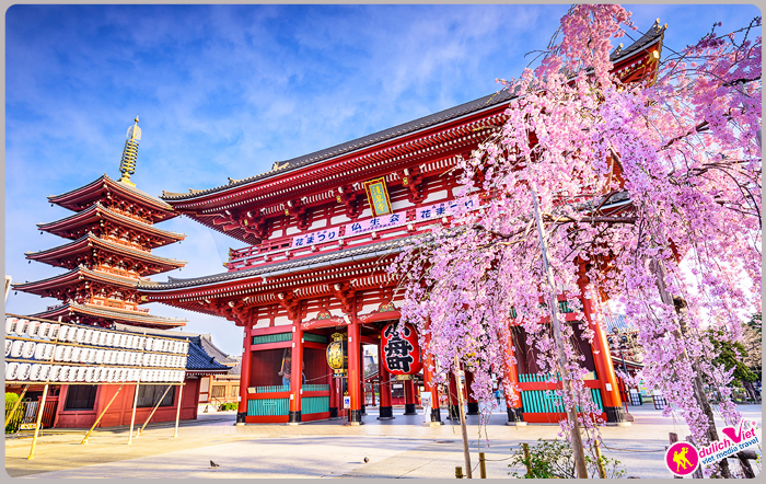 Du lịch Nhật Bản 5 ngày 5 đêm giá tốt 2016 từ Tp.HCM